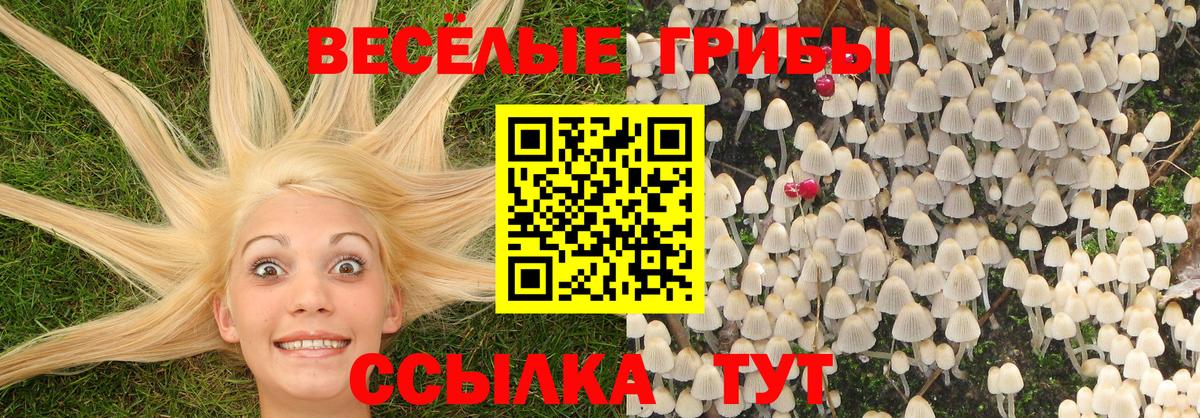 купить  сайты  Вход с VPN  Галлюциногенные грибы ЛСД  Павлово  Псилоцибиновые грибы ЛСД 